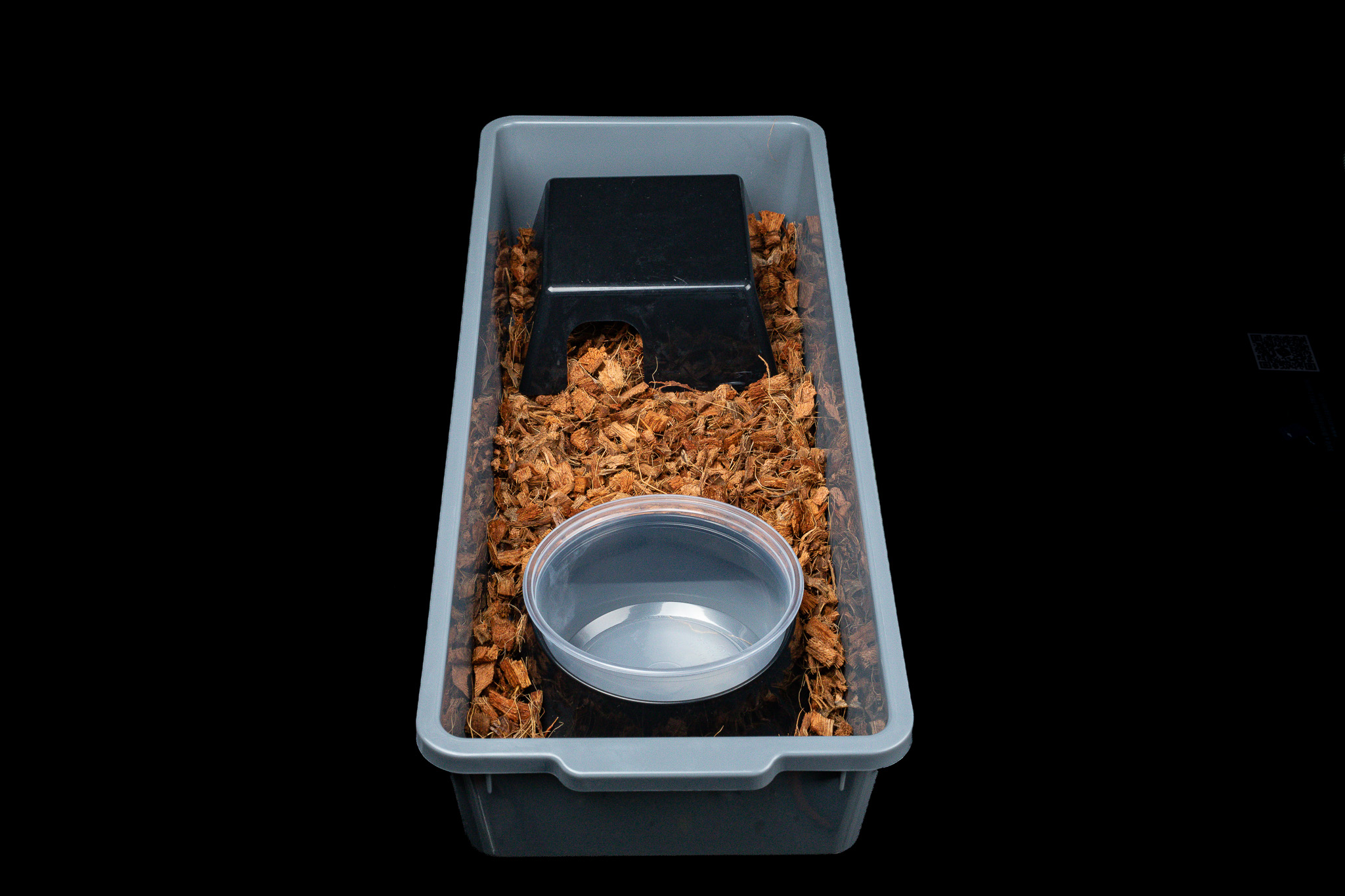 Complete Introduction Kit hatchling tub assembled with substrate, hide, and water bowl